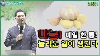 #384. 마늘! 매일 한통! 놀라운 일이 생긴다 [양일권 박사]