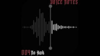 Voice Notes #004 No Hook (prod. TFlame Beats)