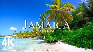 Uncovering Jamaica 4K - The Vibrant Culture and Tropical Beauty of the Caribbean Paradise