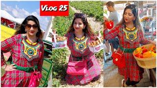 কানাডা ডে তে Strawberry picking || Farmers Market Visit || Mousumi Bangladeshi Canadian Vlog