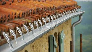 Farmhouse Restoration  |  Gutters