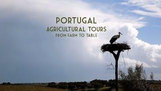 Farm Tours Portugal