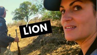 Lion Sands Safari: We Were Surprised by a Lion while on Foot! (Part 1 of 2)