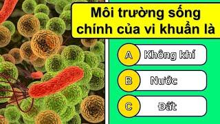 37 câu hỏi kiến thức tổng quát - Câu đố vui dân gian Việt Nam