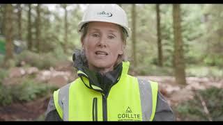 A quick intro to Continuous Cover Forestry (CCF) as part of the Dublin Mountains Makeover