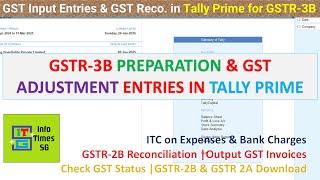 GST Input Entries, GSTR3B Preparation & Gst Adjustment Entries In Tally Prime | GSTR2B Reconcilation