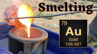 HUGE 246 gram Button! SMELTING GOLD - Colorado Gold Mining