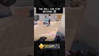 CSGO MEMES?  #csgo  #shorts #counterstrike #cs2