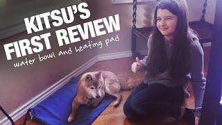 Kitsu The Shiba Inu Reviews Her First Pet Products 