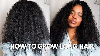 HOW TO GROW LONG NATURAL HAIR (FAST) MY TOP 10 TIPS