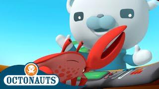 @Octonauts -  The Fiddler Crabs  | Series 2 | Full Episode 12 | Cartoons for Kids