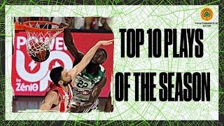 Panathinaikos BC ● Top 10 Plays ● 2023/24 (4K)