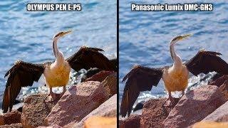 GH3 vs E-P5 - SHOOTOUT - PEN EP5 or Lumix DMC-GH3? You decide...