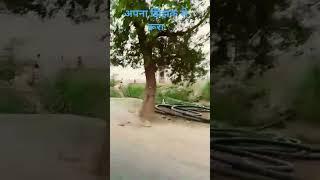 Gam Wali | Sannu Kumar Maithili Song 2025 | Banjo Hamar Gharwali | Maithili Song | Sonu Kumar