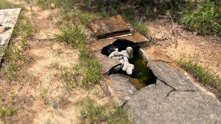 Sad and Creepy Open Grave In Forgotten African American Cemetery