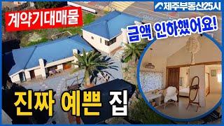 [매물번호0342] [전속매물] 진짜 탐나는 취득시 주택수 미포함 남향농가주택2동과 근생 1동 리모델링 완벽#제주도부동산