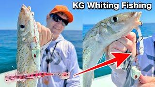 Catch and Cook KING GEORGE WHITING Fishing, Best Eating Fish!