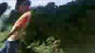 MOV0176A
