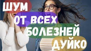 Шум от всех болезней Дуйко Сидхисаунд