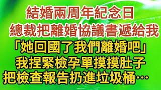 《三年婚約》第01集：結婚兩周年紀念日 ，總裁把離婚協議書遞給我，「她回國了我們離婚吧」，我捏緊檢孕單摸摸肚子，把檢查報告扔進垃圾桶…… #戀愛#婚姻#情感 #愛情#甜寵#故事#小說#霸總