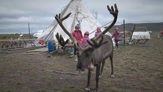 Последние дни каникул в тундре. The last days of holidays in the tundra.