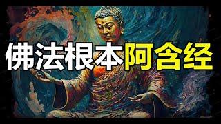 《阿含经》佛教最具争议的人类起源假说，原来我们都是神！