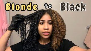 Going from Blonde to Black…Did I make a big mistake?