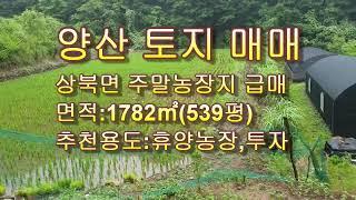 양산 토지 매매/상북면 토지 매매 /상북면 주말농장지 급매/ 토지전문 매물접수 안내 T)055-363-0015