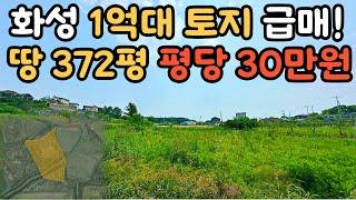 토지 급매 찾으시는 분? 경기도 화성 급매 평당30만원 재등장