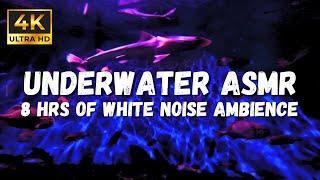 4K Underwater asmr Sounds: Mesmerizing Ripples Reflecting around the Aquarium