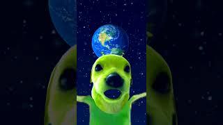 Dog is love with earth 