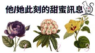 塔羅占卜 | 他她此刻的甜蜜訊息 | 選當下最喜歡的花圖 (Timeless) 【#吉吉121】