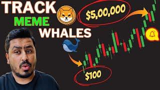 Track Insider Meme Whales Wallet $100 to $5,00,000 