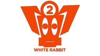 White Rabbit N°2 -  Space Age x Somatic Theory