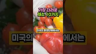가장 더러운 채소 TOP10｜잔류농약 최다 식품