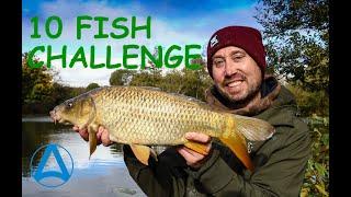 Episode 10. A Fishing Challenge (ten different species on ten different baits).