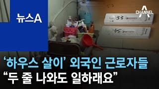 ‘하우스 살이’ 외국인 근로자들 “두 줄 나와도 일하래요” | 뉴스A