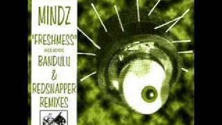 Hookian Mindz - Freshmess (Bandulu's Remix)