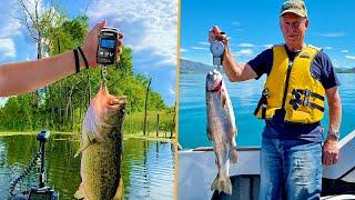 Best Fish Scales 2023 | Top 10 Digital Fishing Scale To Weight Your Catches Accurately