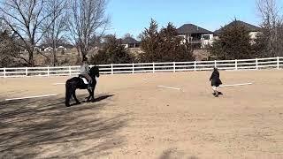 Just a simple riding video as Lexi is learning @FriesianHorses #friesian #friesianhorse #horse