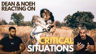 Critical situations with Lions! - Dean Schneider