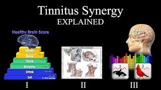 Tinnitus Synergy EXPLAINED