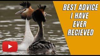 Best advice i have ever been told | A quick look around my local country park | Bird photography