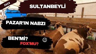 Sultanbeyli Kurban Çadırları | 2023 Kurbanlık Fiyatları