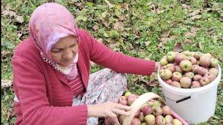 BENİ ÜZEN KİMSEYE HAKKIMI HELAL ETMİYORUM ‼️ CANIMI YAKANIN CANI YANSIN TAKTIM SEPETİ KOLUMA