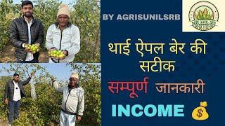 थाई एप्पल बेर की खेती किस प्रकार करें और कितना पैसा कमा सकते हैं.. By AgrisunilSRB #agriculture