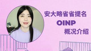 安省省提名下有9个移民项目？OINP概况介绍