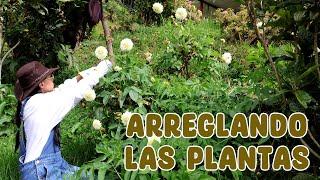 Limpiando la huerta, arreglando las plantas, recorriendo la finca │Candy Bu