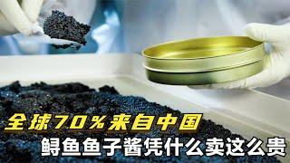 越来越抢手！全球70%来自中国！鲟鱼鱼子酱凭什么卖这么贵？