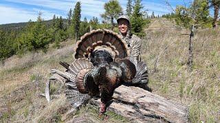 THE SEASON KICKOFF — Spring Backpack Turkey Hunt (Opening Day Hunt)